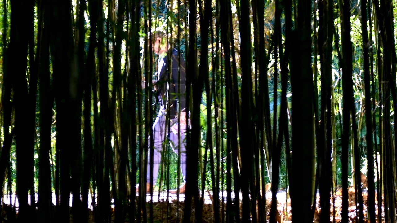 Paris-parc-a-citroen-10juin2017