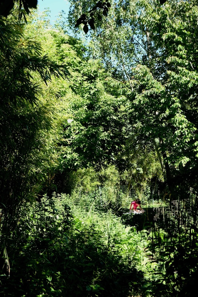 Paris-parc-citroen-10juin2017
