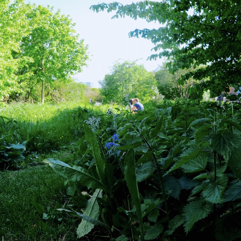 baiser-au-parc-7mai2016