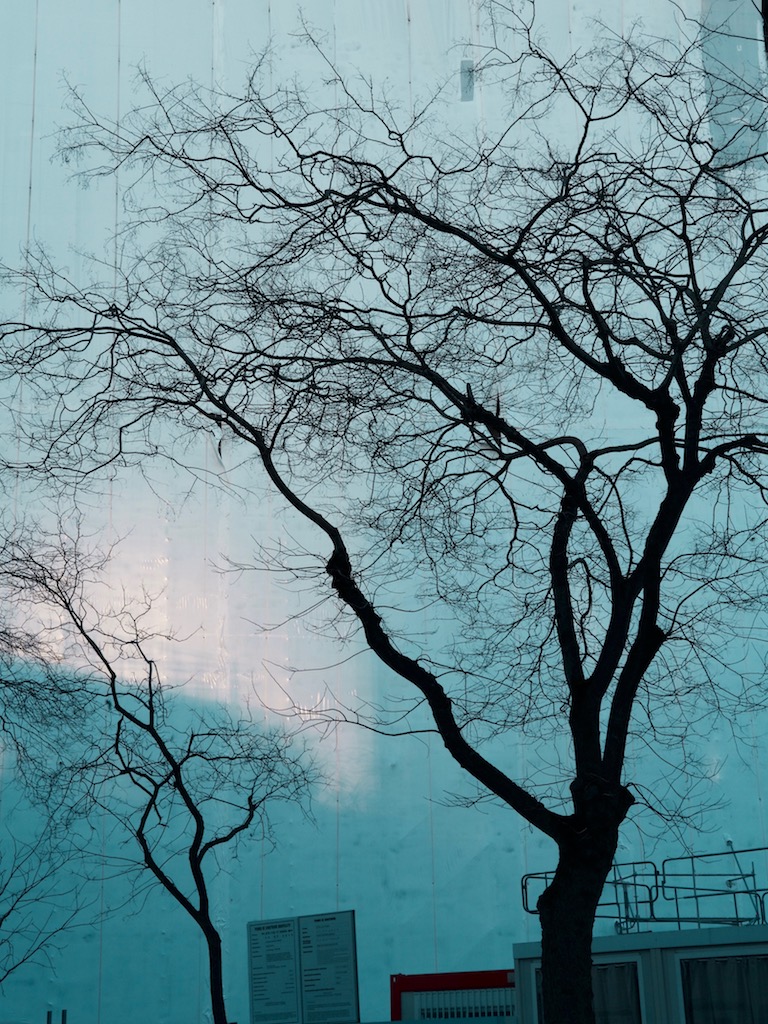 Paris-facade-avec-arbre-19janvier2020