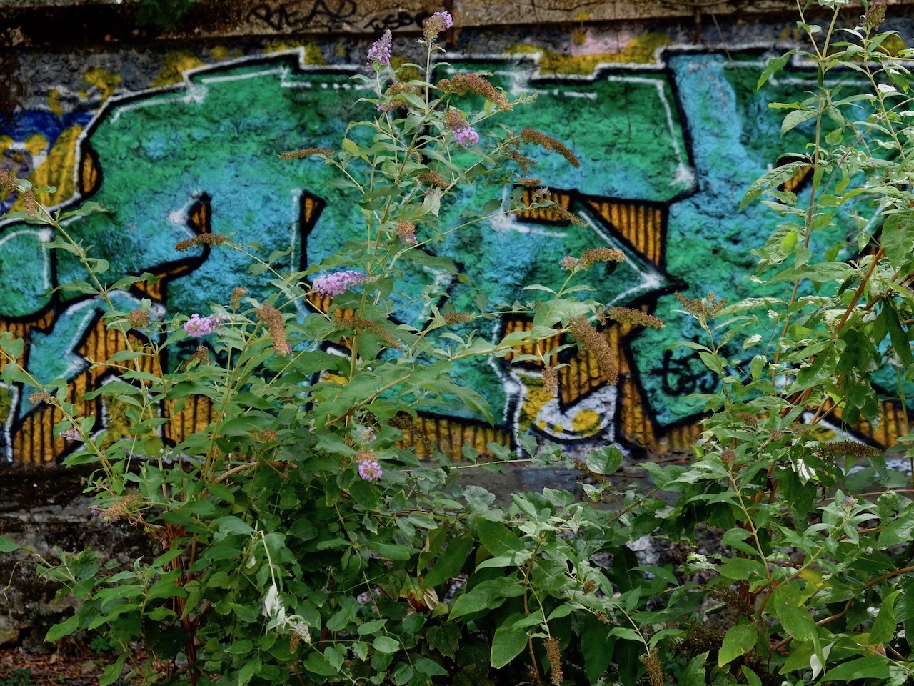 Paris-coulée-balard-6aout2022