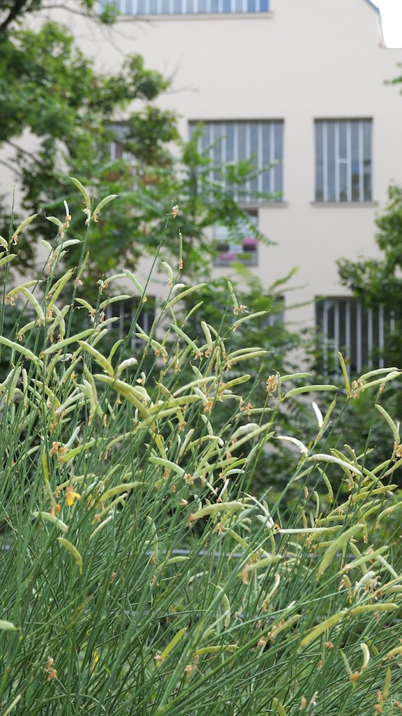 Paris-coulée-balard-6aout2022