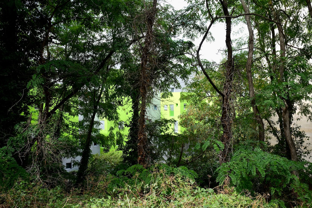 Paris-coulée-balard-6aout2022