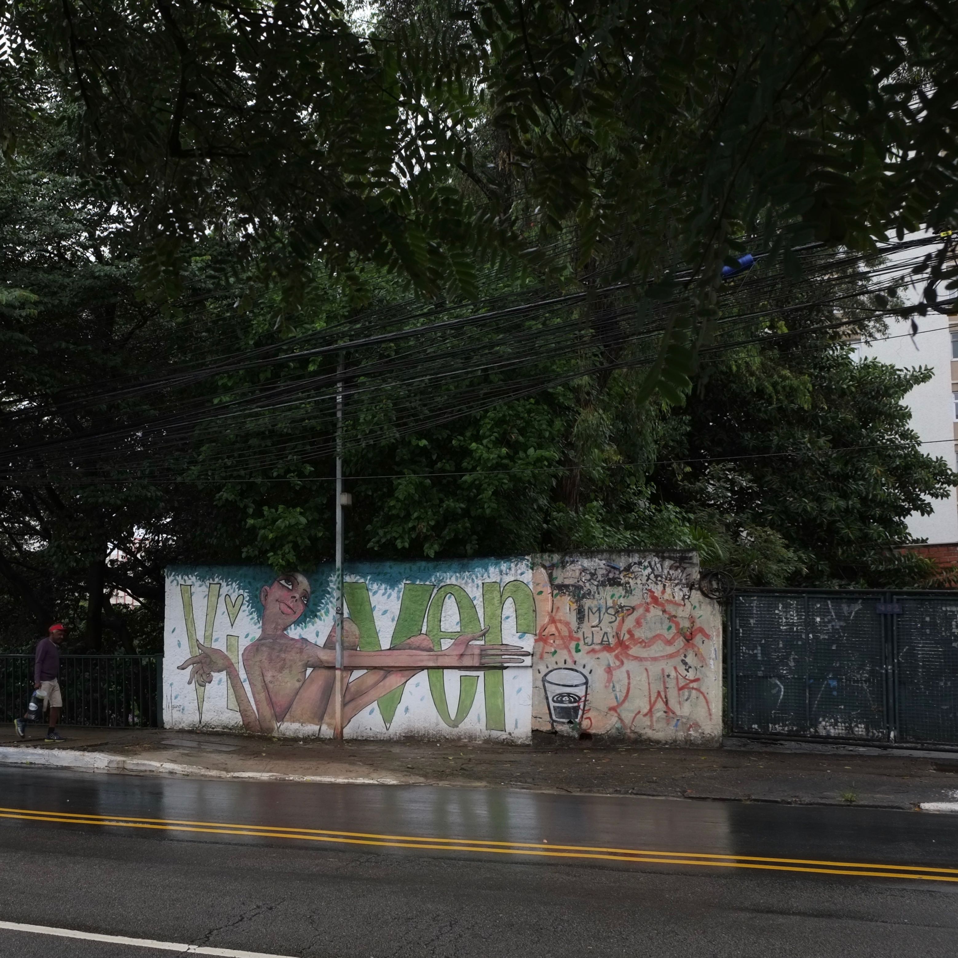 Peinture murale. Bairro Vila Mariana. São Paulo